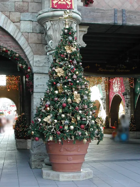 ミラコスタ通り入り口のクリスマスツリー(ハーバーサイド・クリスマス 2005)