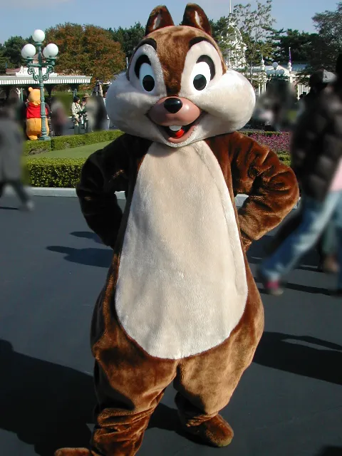 チップ（エントランス）