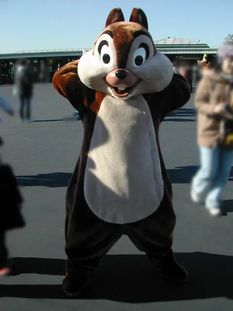チップ（エントランス）
